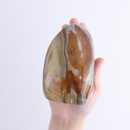 Polychrome Jasper Freeforms Set of 6 - Expert Wholesale and Supplier of Wholesale Crystals & Bulk Gemstones, ["jasper","Madagascar","Polychrome Jasper"]