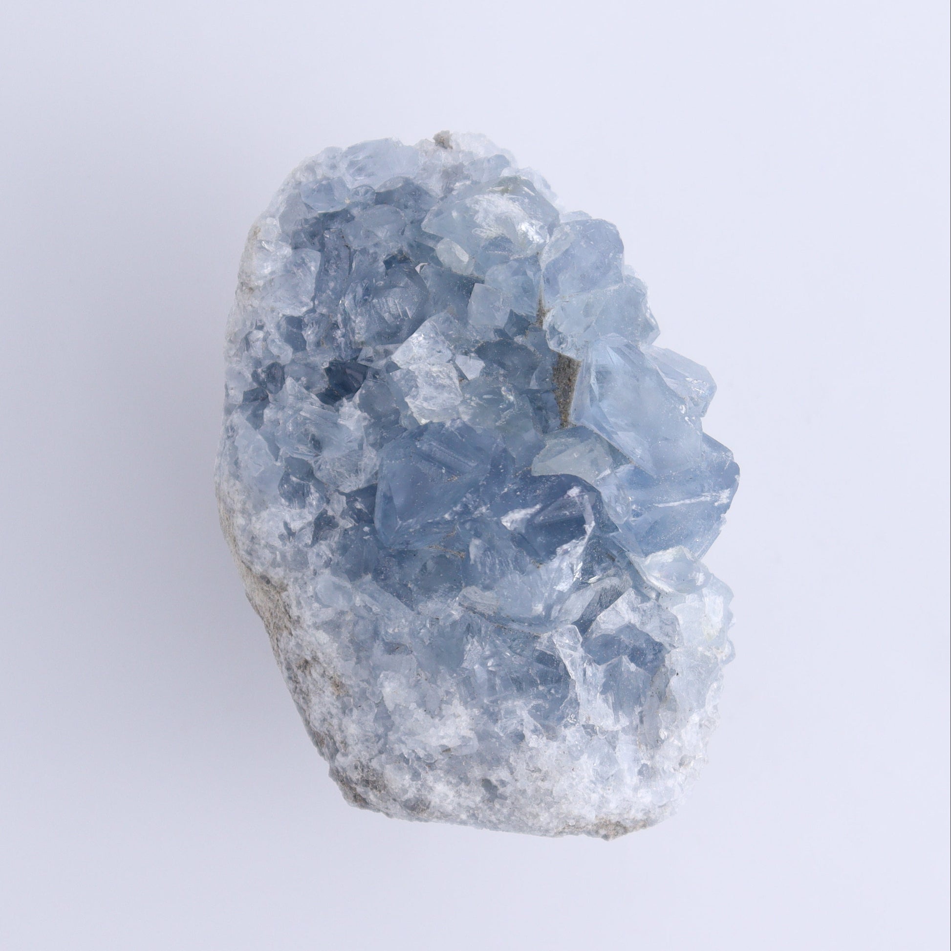 Celestite Clusters Set of 9 - Expert Wholesale and Supplier of Wholesale Crystals & Bulk Gemstones, ["Celestite","Freeform"]