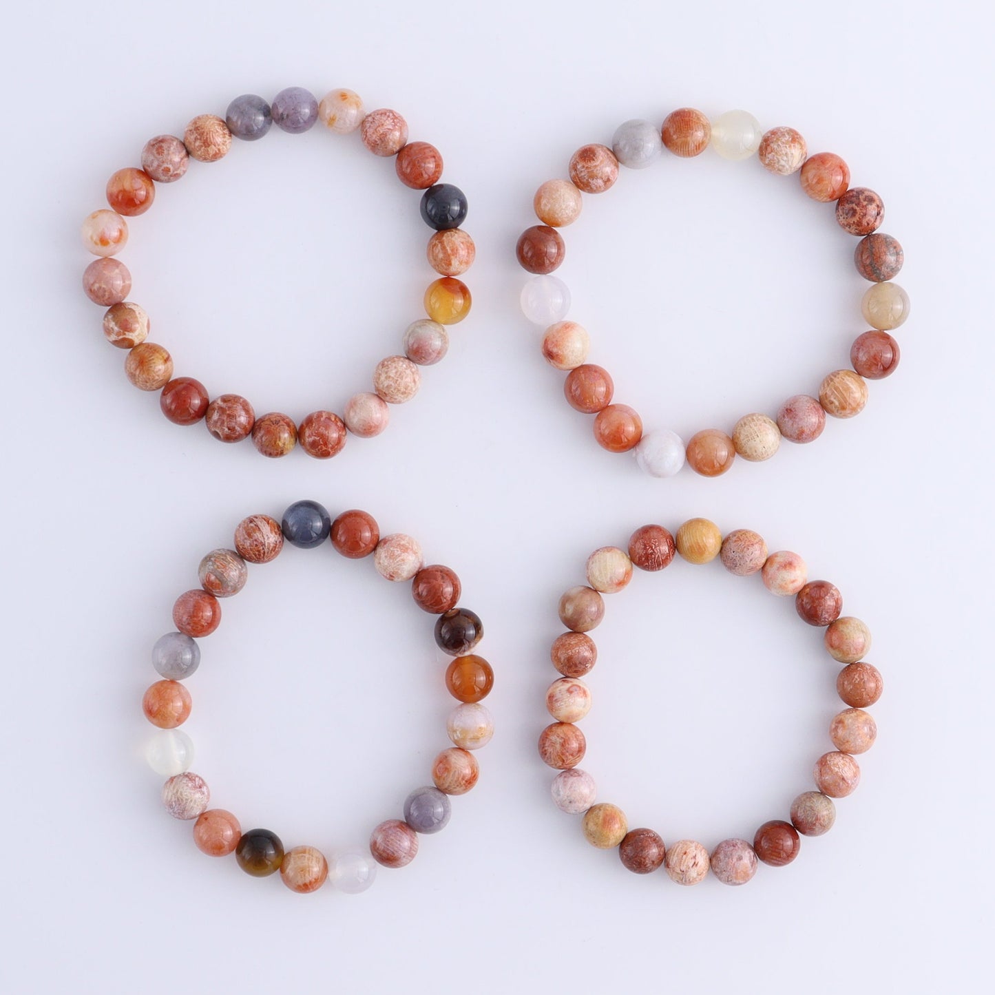 One Fossilized Coral Bracelet