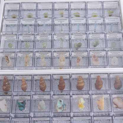 Mixed Mineral Thumbnails Flat