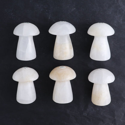 One Mushroom Mexican Onyx/Calcite White