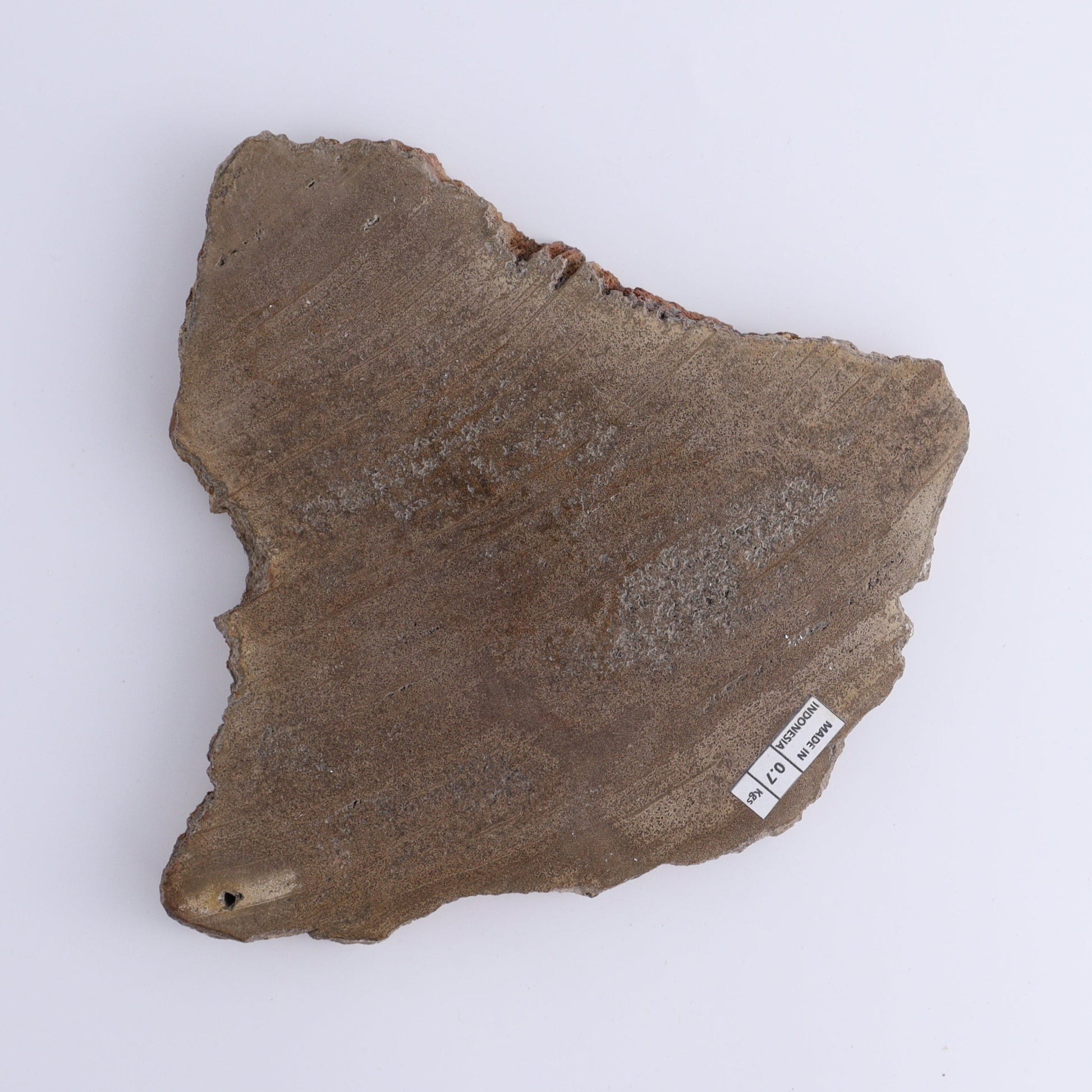 Petrified Wood Slices & Slabs Set of 3 - Expert Wholesale and Supplier of Wholesale Crystals & Bulk Gemstones, ["close_30","Freeforms","Indonesia","Petrified Wood","Slices and Slabs"]