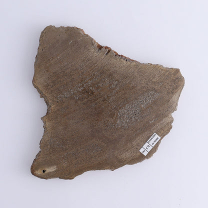 Petrified Wood Slices & Slabs Set of 3 - Expert Wholesale and Supplier of Wholesale Crystals & Bulk Gemstones, ["close_30","Freeforms","Indonesia","Petrified Wood","Slices and Slabs"]