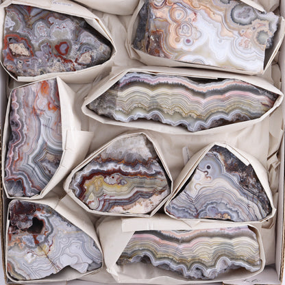 Crazy Lace Agate Flat of 10 - Expert Wholesale and Supplier of Wholesale Crystals & Bulk Gemstones, ["Crazy Lace Agate","Mexico"]