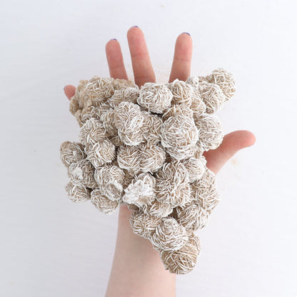 Desert Rose Set of 3
