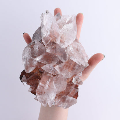 Naica Selenite Rough