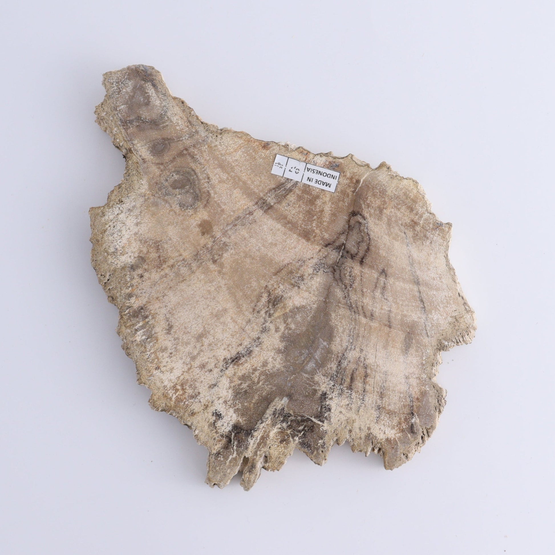 Petrified Wood Slices & Slabs Set of 3 - Expert Wholesale and Supplier of Wholesale Crystals & Bulk Gemstones, ["close_30","Freeforms","Indonesia","Petrified Wood","Slices and Slabs"]