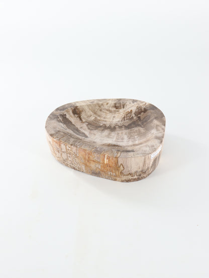 Petrified Wood Bowl - Expert Wholesale and Supplier of Wholesale Crystals & Bulk Gemstones, []