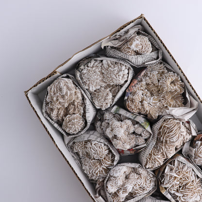 Desert Rose Set of 11 - Expert Wholesale and Supplier of Wholesale Crystals & Bulk Gemstones, ["Desert Rose","Freeforms","Morocco"]