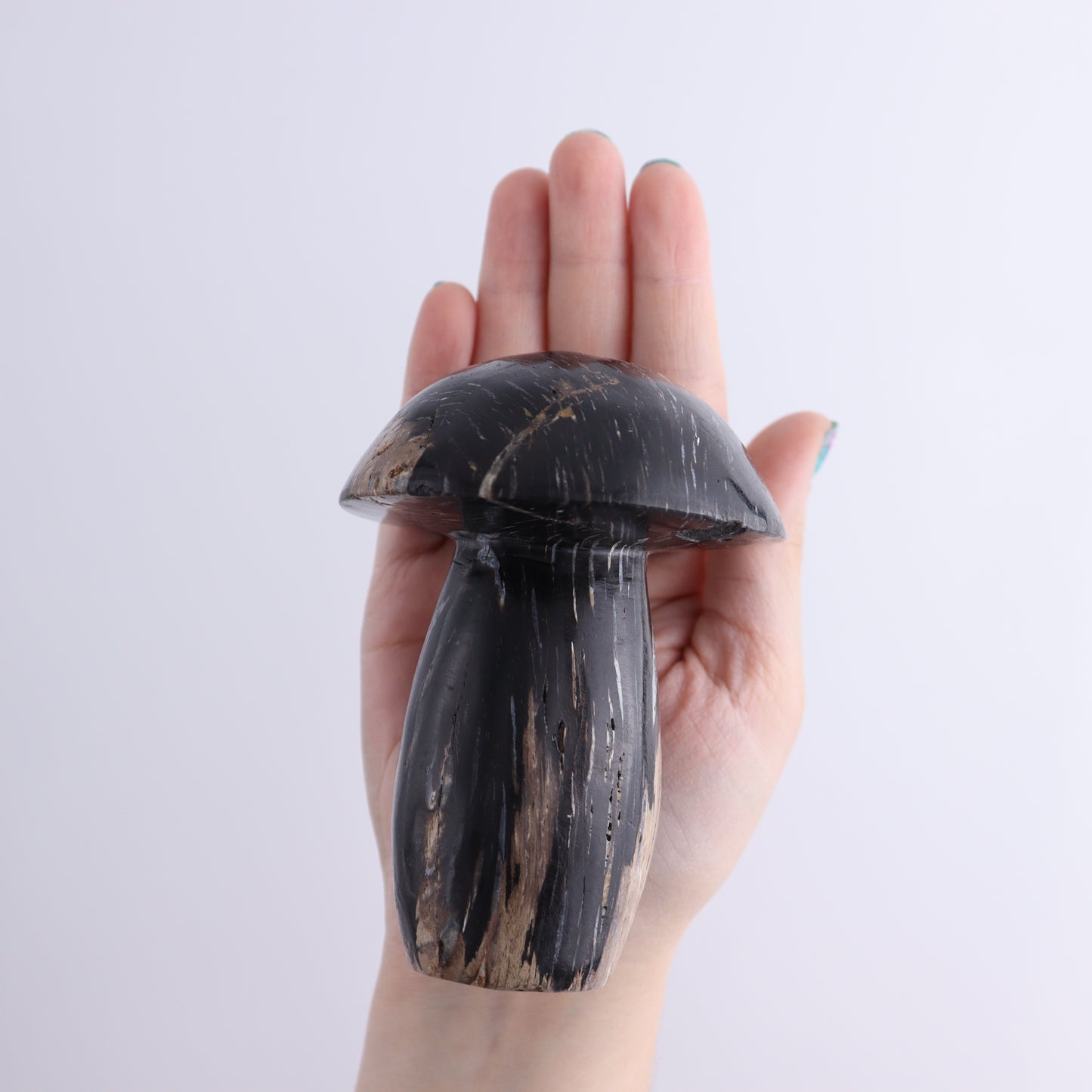 Petrified Wood Mushrooms Set of 4 - Expert Wholesale and Supplier of Wholesale Crystals & Bulk Gemstones, ["Indonesia","Mushrooms","Petrified Wood"]