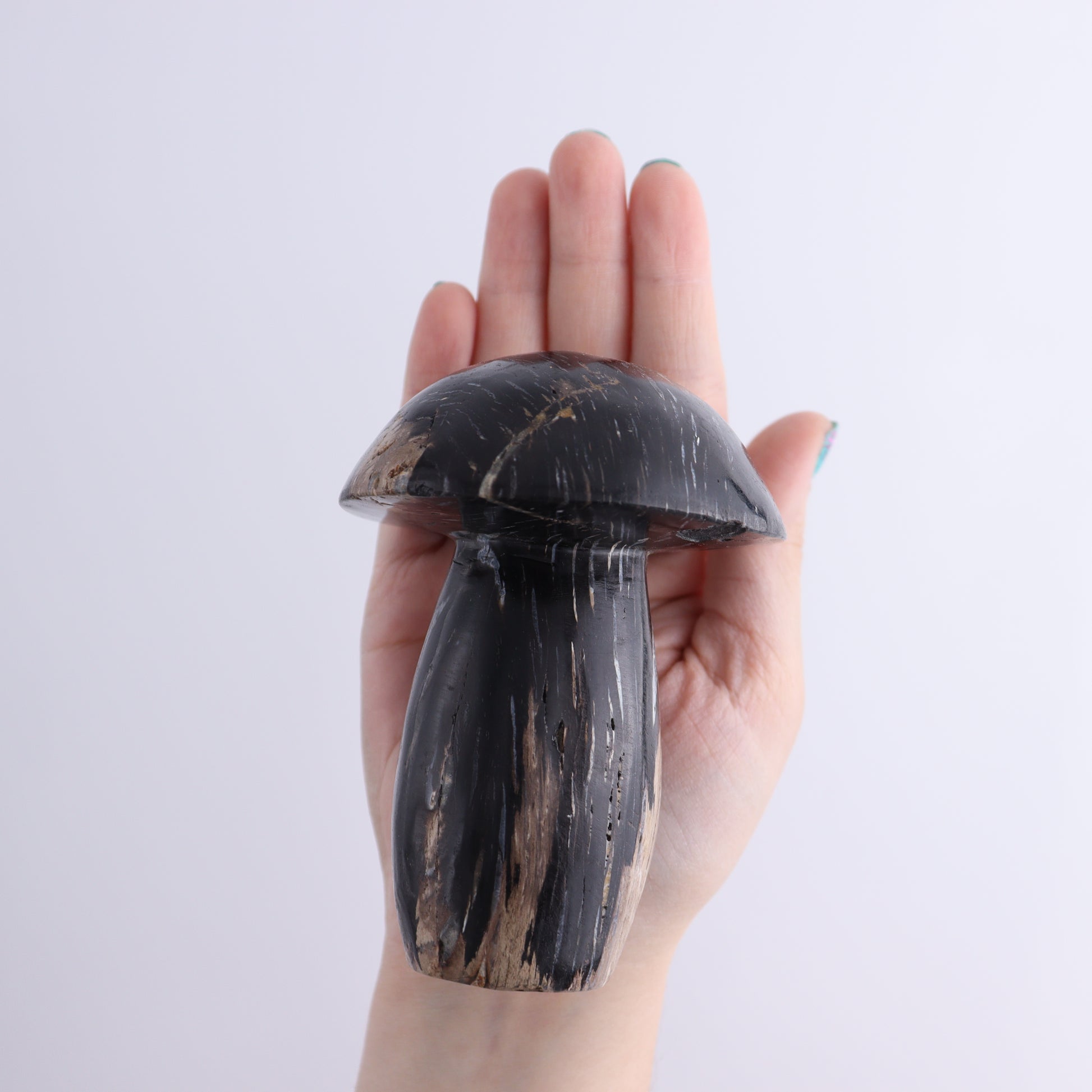Petrified Wood Mushrooms Set of 4 - Expert Wholesale and Supplier of Wholesale Crystals & Bulk Gemstones, ["Indonesia","Mushrooms","Petrified Wood"]
