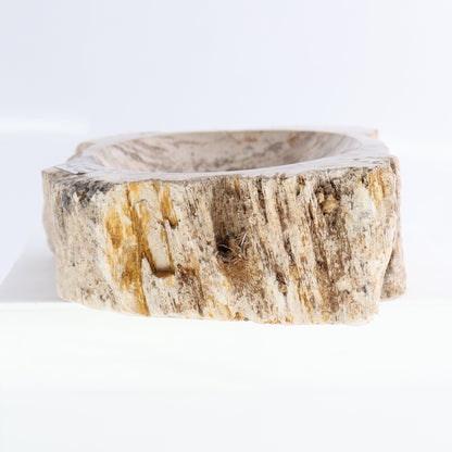 Petrified Wood Bowls Set of 2