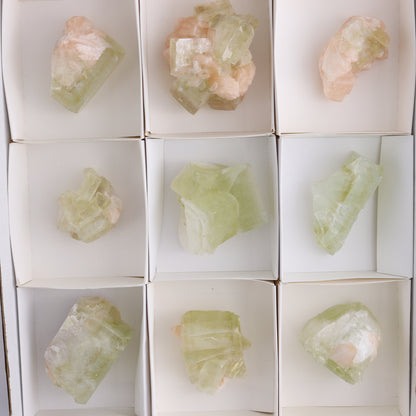 Apophyllite Clusters Flat of 12