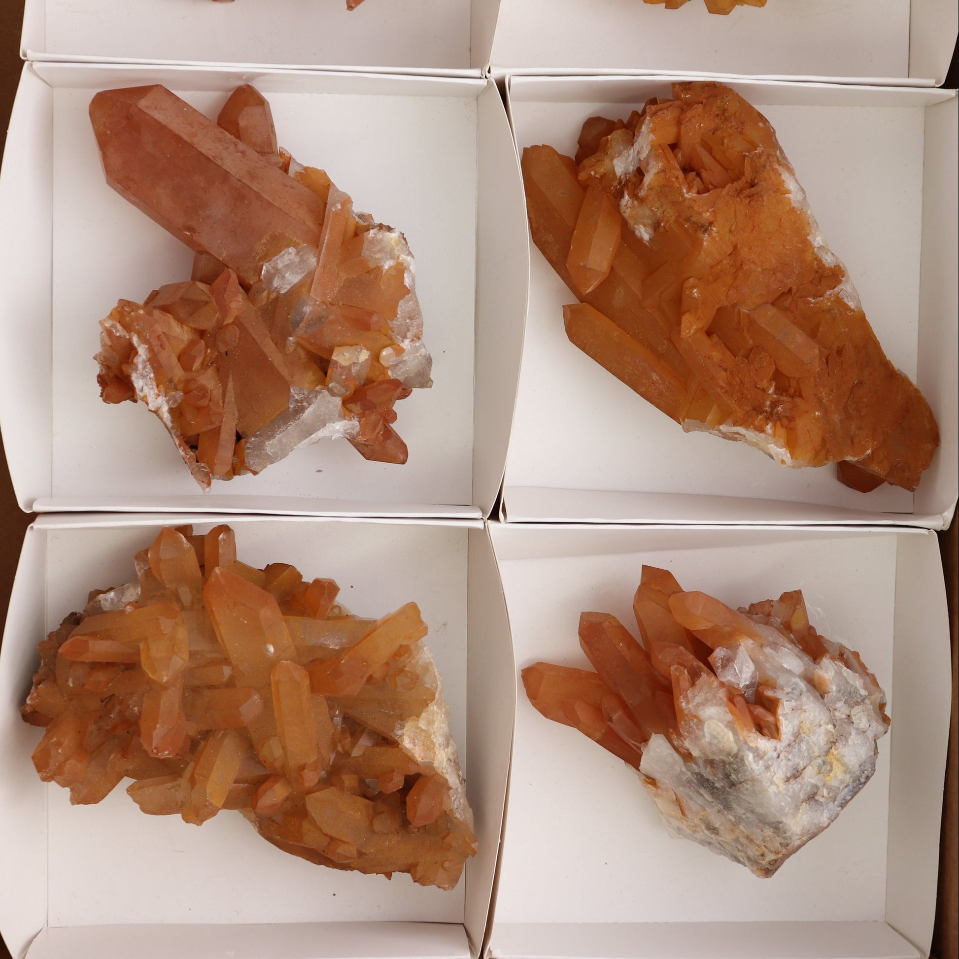 Dark Tangerine Quartz Clusters Set of 6 - Expert Wholesale and Supplier of Wholesale Crystals & Bulk Gemstones, ["Clusters","Quartz","Tangerine Quartz"]