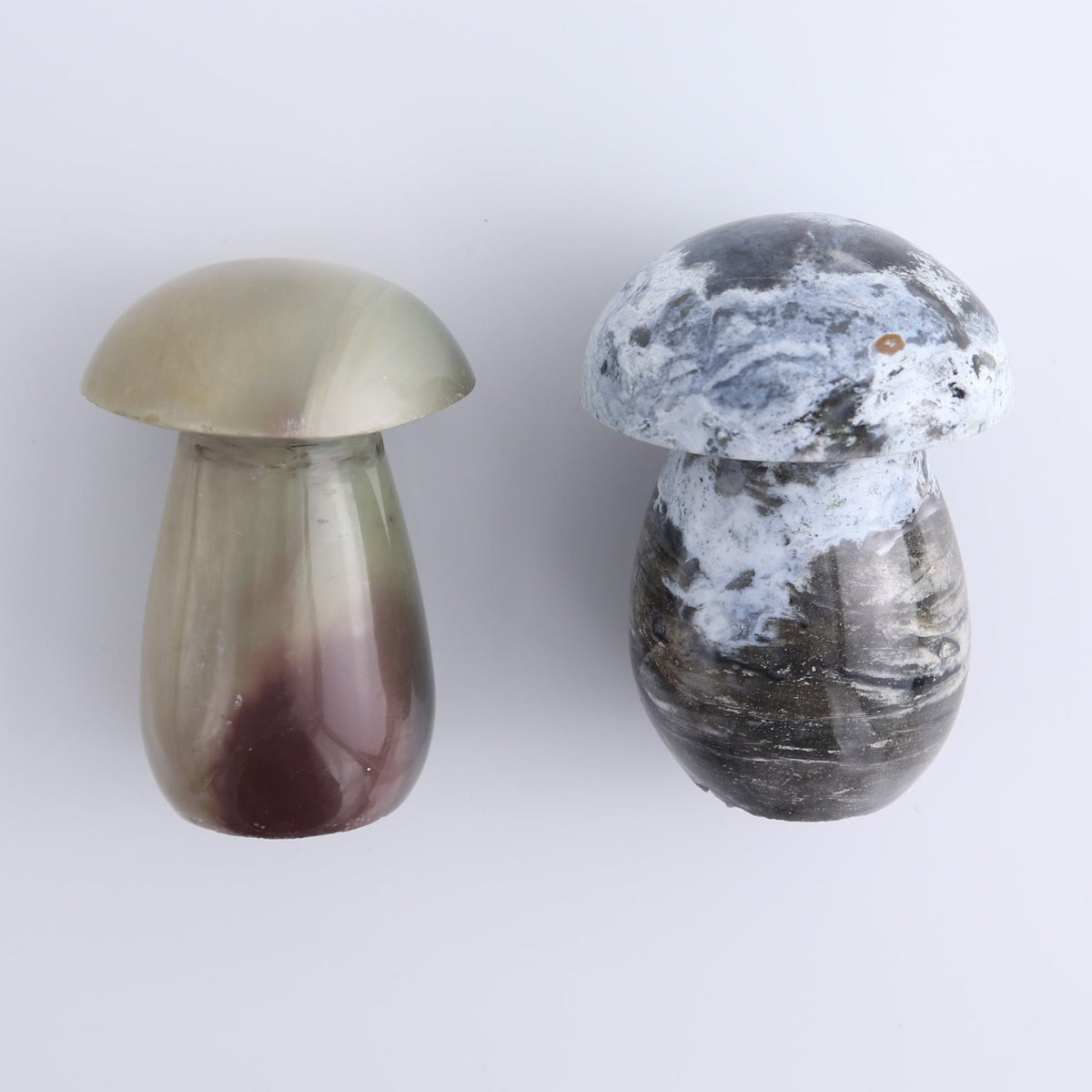 Jasper Mushrooms Set of 8