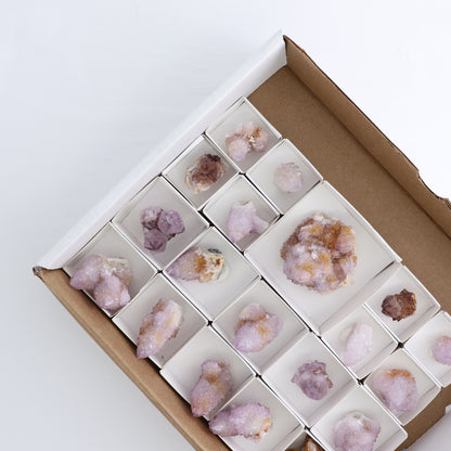Cactus Quartz Set of 19