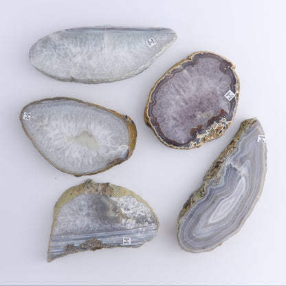 Agate Slices Set of 5 - Expert Wholesale and Supplier of Wholesale Crystals & Bulk Gemstones, ["Agate","Brazil","Slices and Slabs"]
