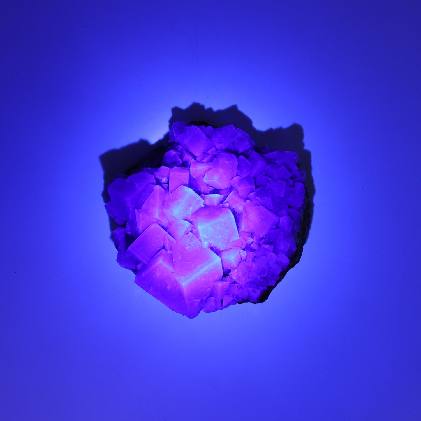 Fluorite Purple Rain Pocket Set of 8 - Expert Wholesale and Supplier of Wholesale Crystals & Bulk Gemstones, ["close_50","England","Fluorite","Purple Rain Pocket","Rough"]
