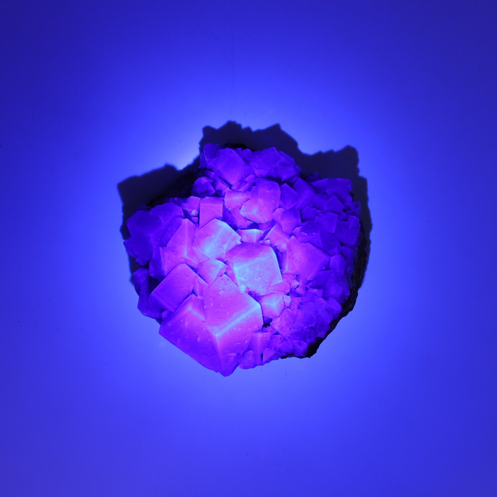 Fluorite Purple Rain Pocket Set of 8 - Expert Wholesale and Supplier of Wholesale Crystals & Bulk Gemstones, ["close_50","England","Fluorite","Purple Rain Pocket","Rough"]