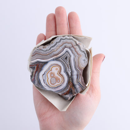 *sold Crazy Lace Agate Flat of 9 - Expert Wholesale and Supplier of Wholesale Crystals & Bulk Gemstones, ["Crazy Lace Agate","Mexico"]
