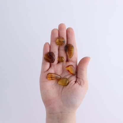 Amber Cabs Set of 12 - Expert Wholesale and Supplier of Wholesale Crystals & Bulk Gemstones, ["Amber","Cabs"]