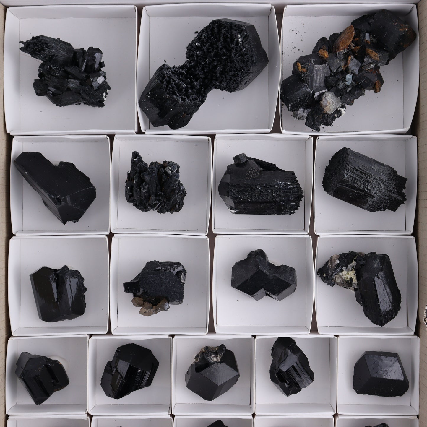 Schorl Tourmaline Flat of 30 - Expert Wholesale and Supplier of Wholesale Crystals & Bulk Gemstones, ["Black Tourmaline","Madagascar","Schorl Tourmaline","Tourmaline"]
