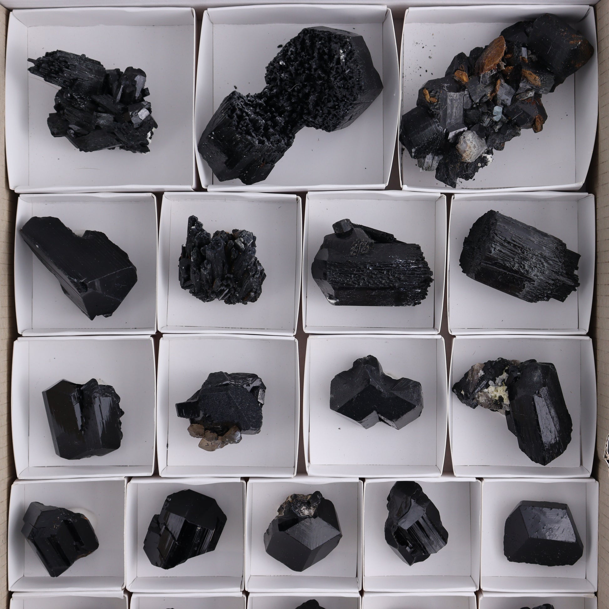 Schorl Tourmaline Flat of 30 - Expert Wholesale and Supplier of Wholesale Crystals & Bulk Gemstones, ["Black Tourmaline","Madagascar","Schorl Tourmaline","Tourmaline"]