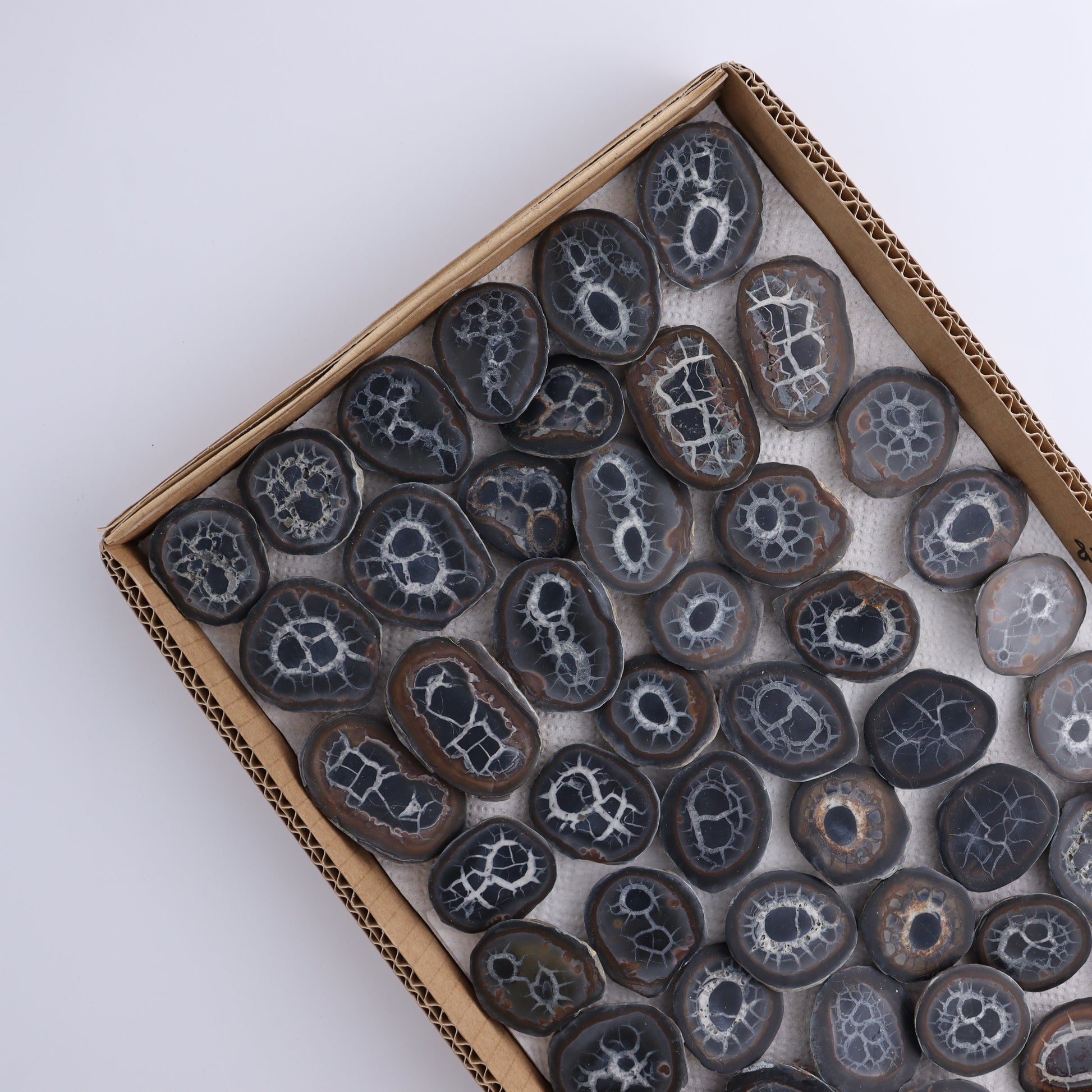 Septarian Geodes Flat - Expert Wholesale and Supplier of Wholesale Crystals & Bulk Gemstones, ["Geodes","Septarian"]