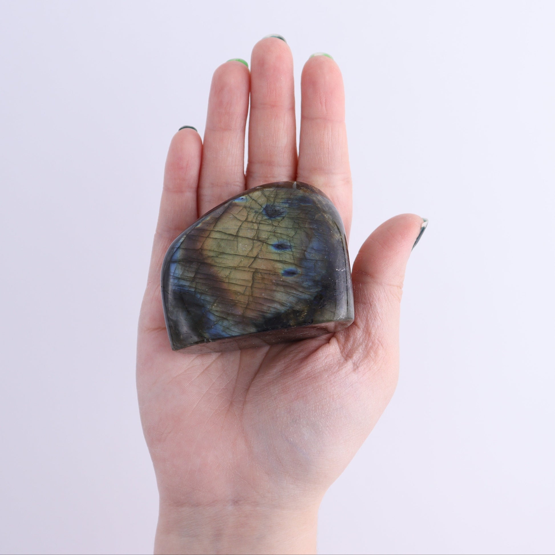 Labradorite Freeform Set of 7 - Expert Wholesale and Supplier of Wholesale Crystals & Bulk Gemstones, ["Freeforms","Labradorite","Madagascar"]