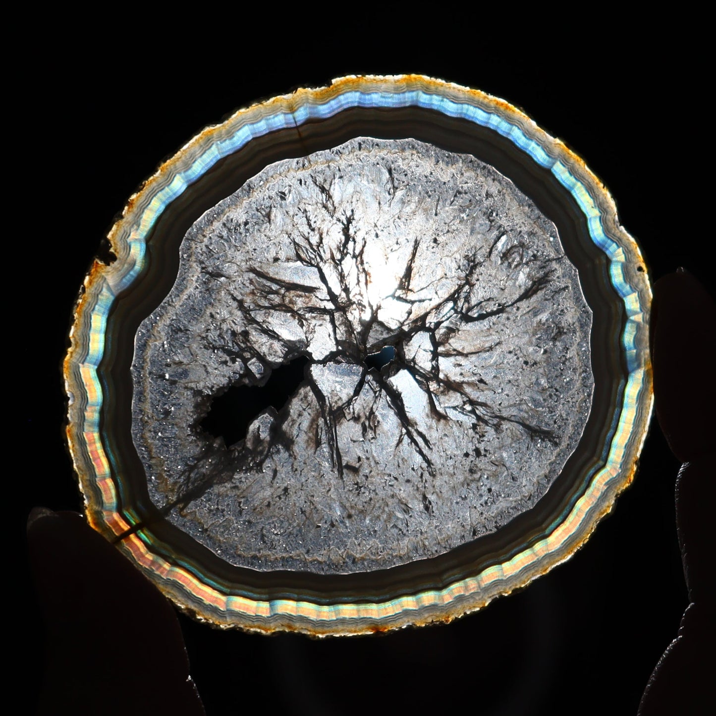 Iris Agate Slices Set of 6 - Expert Wholesale and Supplier of Wholesale Crystals & Bulk Gemstones, ["Agate","Iris Agate","Slices and Slabs"]