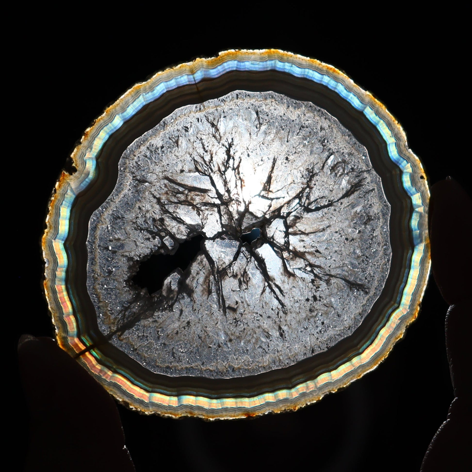 Iris Agate Slices Set of 6 - Expert Wholesale and Supplier of Wholesale Crystals & Bulk Gemstones, ["Agate","Iris Agate","Slices and Slabs"]