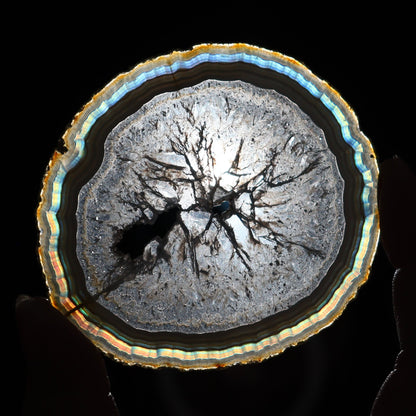 Iris Agate Slices Set of 6 - Expert Wholesale and Supplier of Wholesale Crystals & Bulk Gemstones, ["Agate","Iris Agate","Slices and Slabs"]