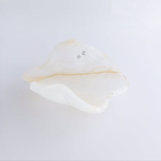 Onyx Bowl - Expert Wholesale and Supplier of Wholesale Crystals & Bulk Gemstones, ["Bowls","Mexico","onyx"]