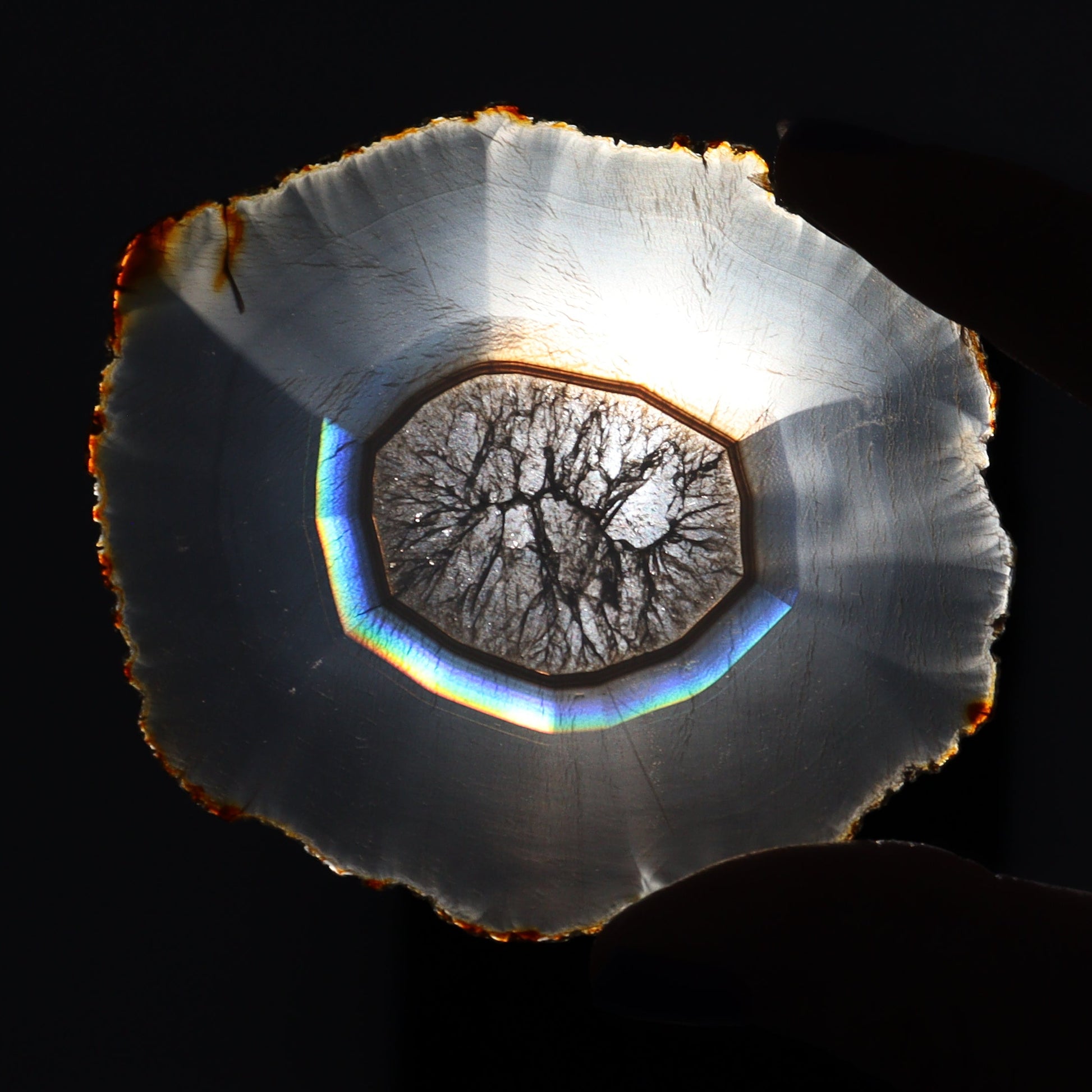 Iris Agate Slices Set of 6 - Expert Wholesale and Supplier of Wholesale Crystals & Bulk Gemstones, ["Agate","Iris Agate","Slices and Slabs"]