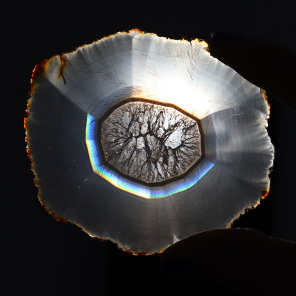 Iris Agate Slices Set of 6 - Expert Wholesale and Supplier of Wholesale Crystals & Bulk Gemstones, ["Agate","Iris Agate","Slices and Slabs"]