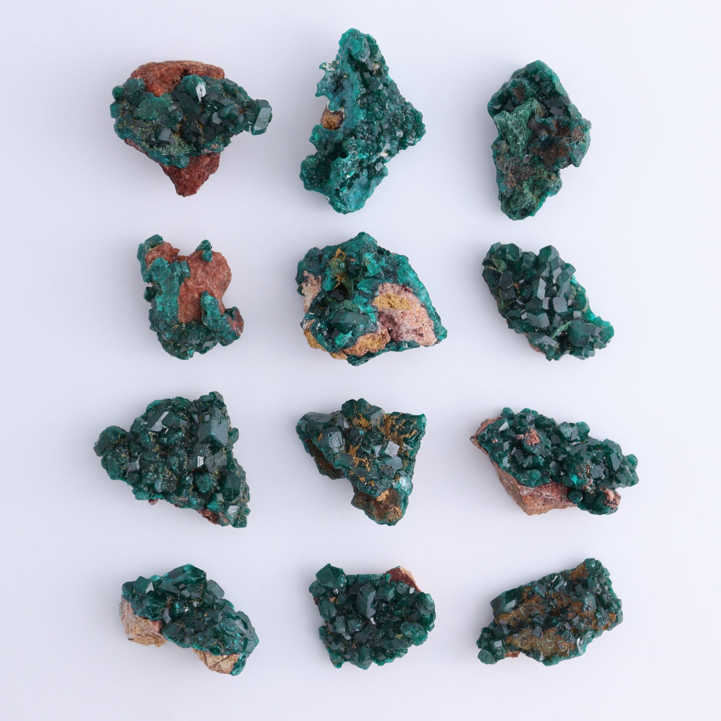 Dioptase Set of 12 - Expert Wholesale and Supplier of Wholesale Crystals & Bulk Gemstones, ["dioptase","Freeform","Freeforms"]