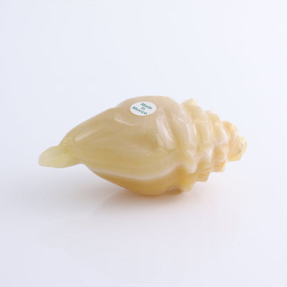 One Mexican Onyx/Calcite Shell Cut Base Beige/Honey