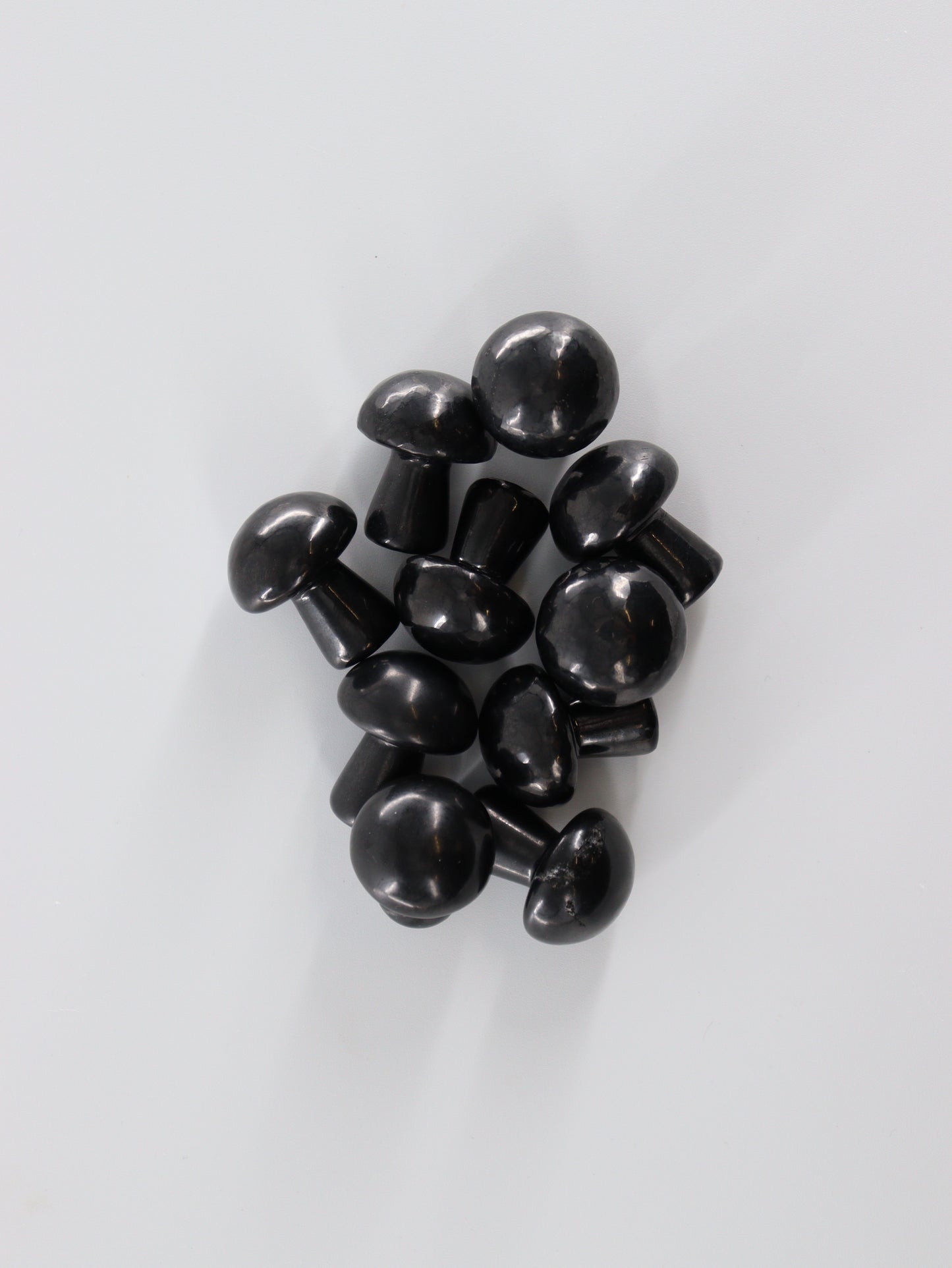 Shungite Mushrooms - Expert Supplier of Wholesale Crystals & Bulk Gemstones