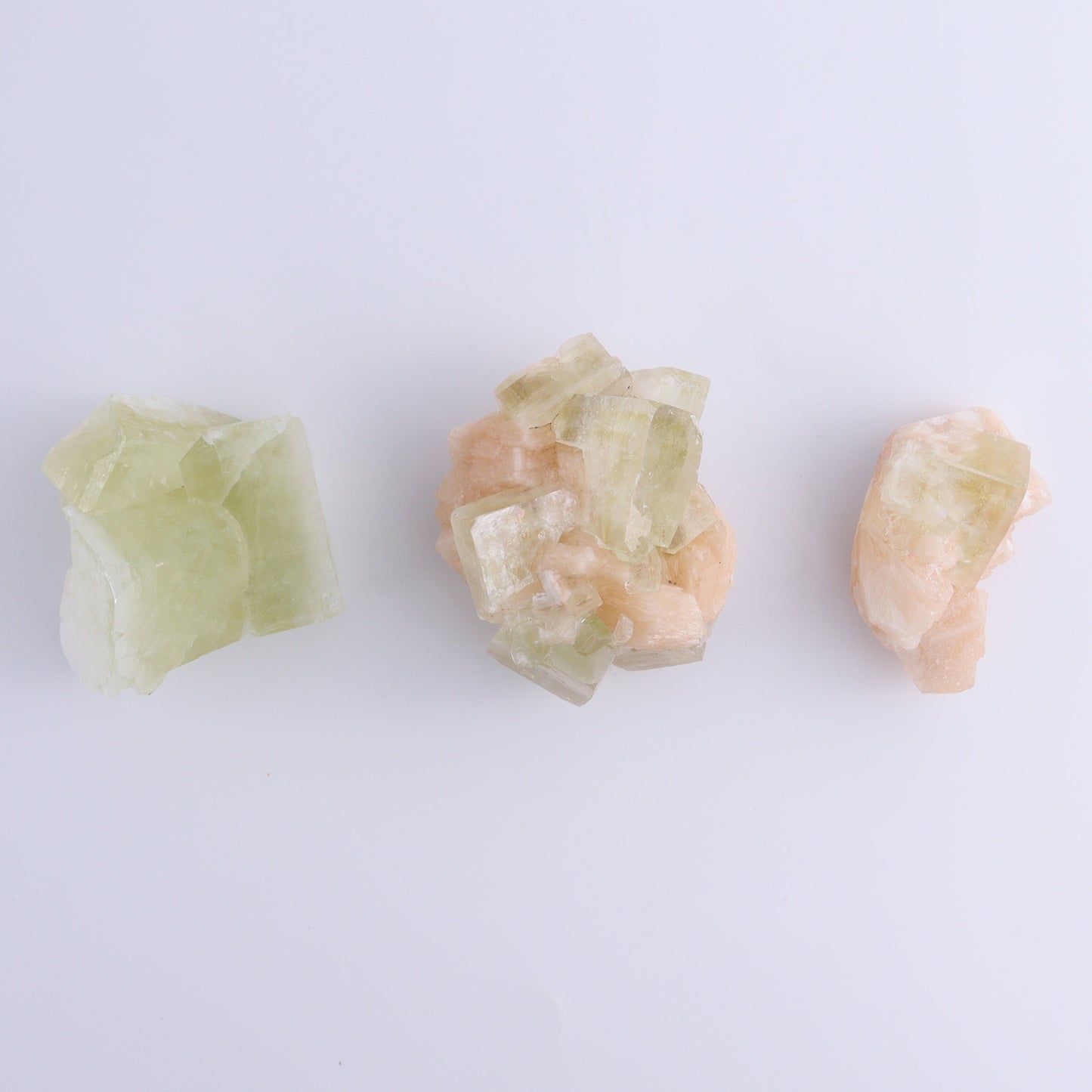 Apophyllite Clusters Flat of 12