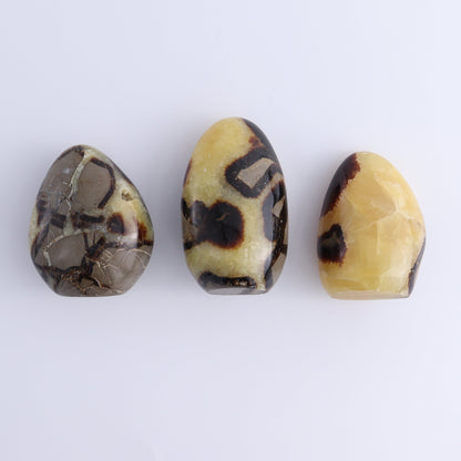 Septarian Freeforms Set of 12 - Expert Wholesale and Supplier of Wholesale Crystals & Bulk Gemstones, ["Freeforms","Madagascar","Septarian"]