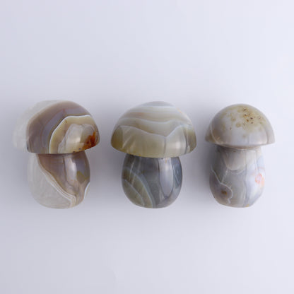 Agate Mushrooms Set of 6 - Expert Wholesale and Supplier of Wholesale Crystals & Bulk Gemstones, ["Agate","Madagascar","Mushrooms"]