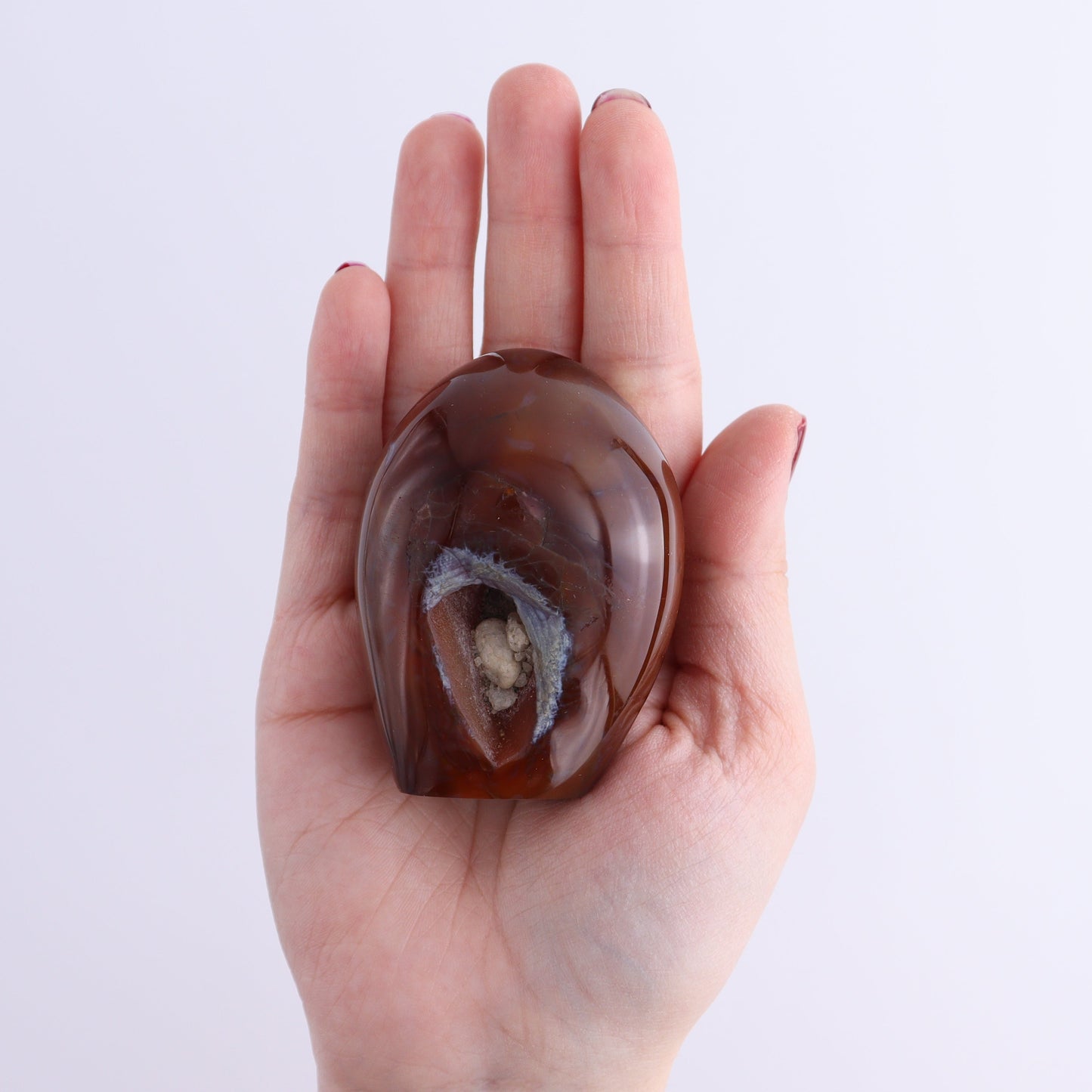 Carnelian Freeforms Set of 8 - Expert Wholesale and Supplier of Wholesale Crystals & Bulk Gemstones, ["carnelian","Freeform","Freeforms","Madagascar"]