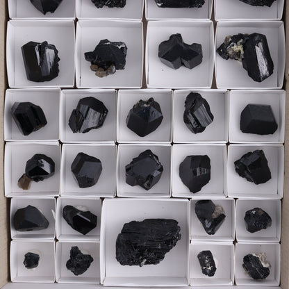 Schorl Tourmaline Flat of 30 - Expert Wholesale and Supplier of Wholesale Crystals & Bulk Gemstones, ["Black Tourmaline","Madagascar","Schorl Tourmaline","Tourmaline"]