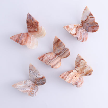 One Crazy Lace Agate Butterfly - Expert Wholesale and Supplier of Wholesale Crystals & Bulk Gemstones, ["Agate","Butterflies","Butterfly","Crazy Lace Agate"]