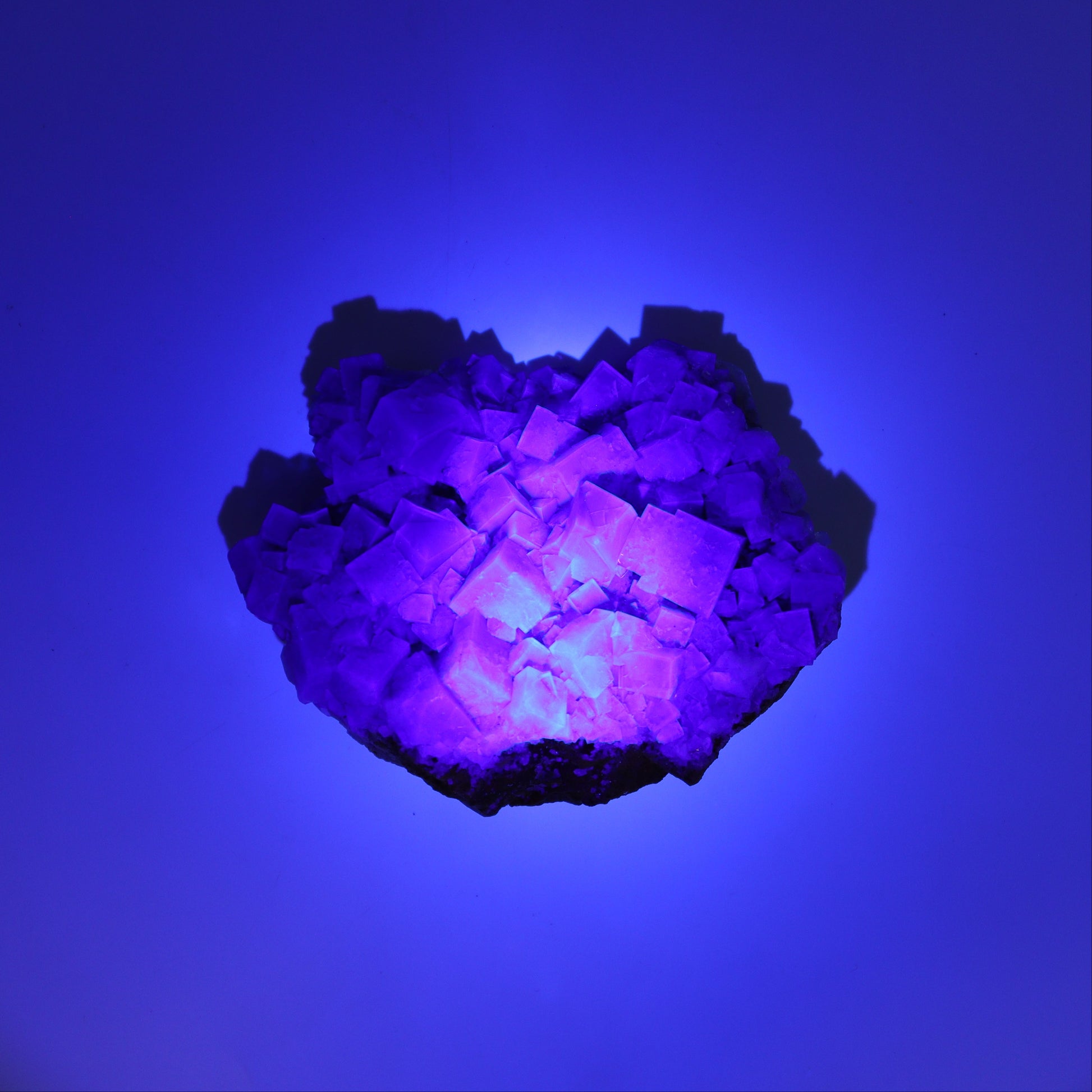 Fluorite Purple Rain Pocket Set of 8 - Expert Wholesale and Supplier of Wholesale Crystals & Bulk Gemstones, ["close_50","England","Fluorite","Purple Rain Pocket","Rough"]