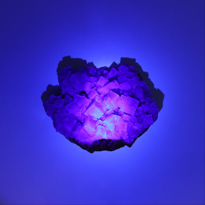 Fluorite Purple Rain Pocket Set of 8 - Expert Wholesale and Supplier of Wholesale Crystals & Bulk Gemstones, ["close_50","England","Fluorite","Purple Rain Pocket","Rough"]