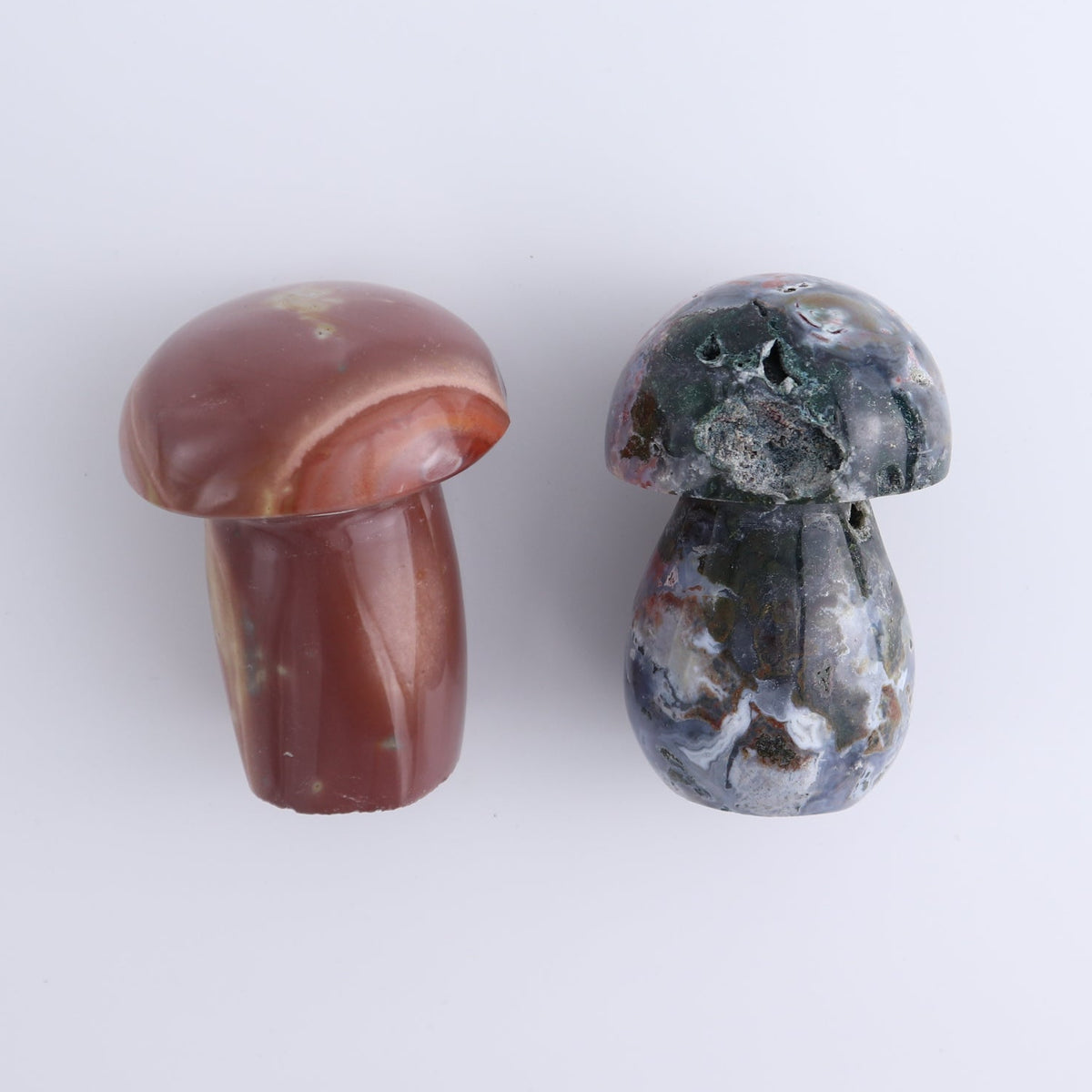 Jasper Mushrooms Set of 8