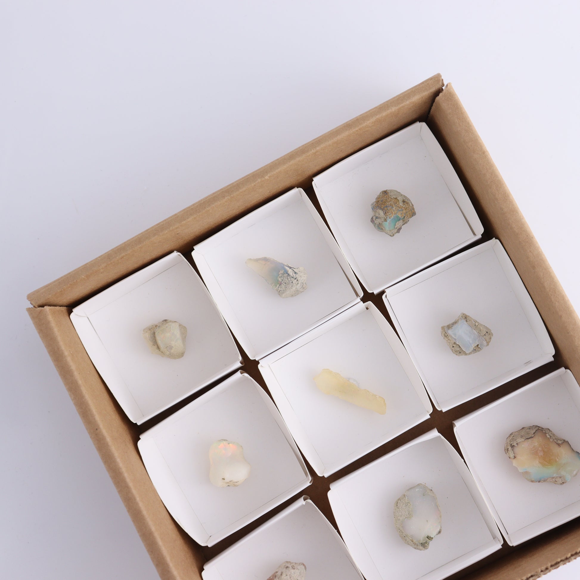 Ethiopian Opal Flat of 9 - Expert Wholesale and Supplier of Wholesale Crystals & Bulk Gemstones, ["ethiopian opal","Mexico","Opal","Rough"]