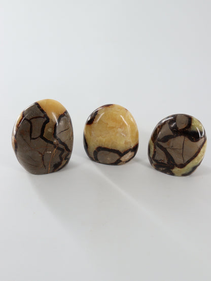 Septarian Freeforms Set of 12 - Expert Wholesale and Supplier of Wholesale Crystals & Bulk Gemstones, []