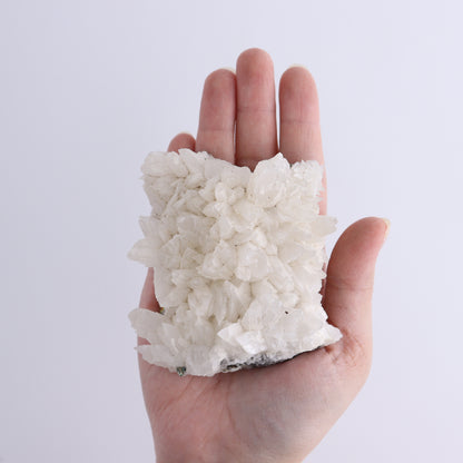 UV Reactive Calcite Flat Set of 8 - Expert Wholesale and Supplier of Wholesale Crystals & Bulk Gemstones, ["Calcite","Freeform","Freeforms","Mexico"]